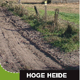 Hoge Heide