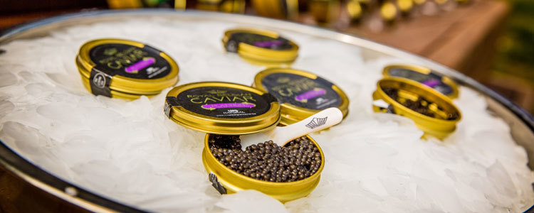 Kaviar verkosten