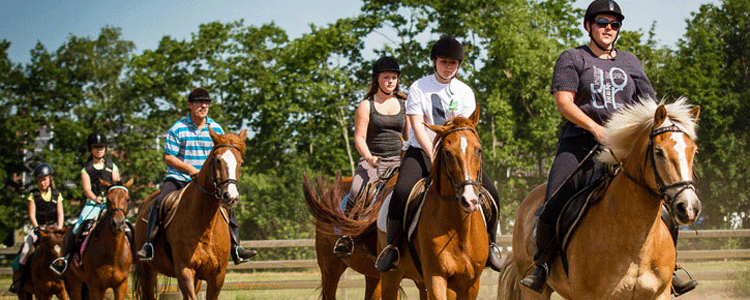 Ponyhoeve Turnhout