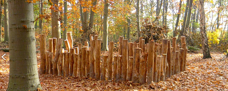 Forêts de jeu