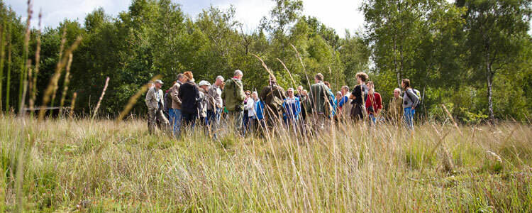 Vennenwandeling